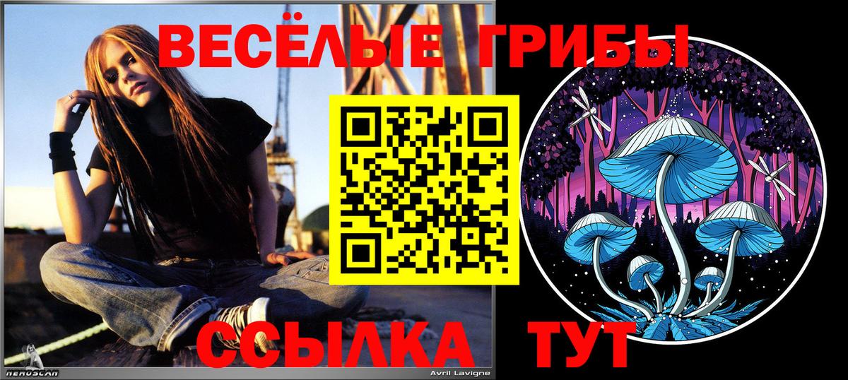Псилоцибиновые грибы GOLDEN TEACHER Таганрог